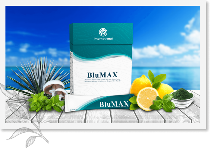 blumax-1536x1092